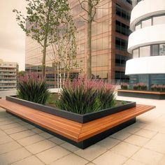 there is a planter with plants in it on the ground near a tall building