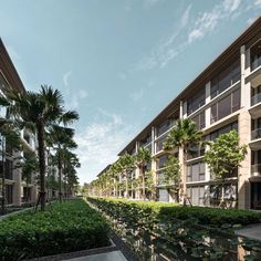 an apartment building with trees and plants in the foreground