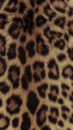 an animal print pattern is shown in brown and black colors on the skin of a cheetah