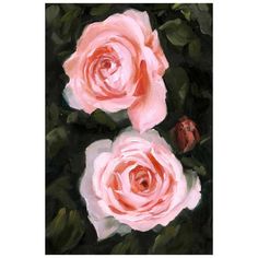 three pink roses with green leaves in the background