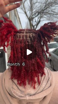 Hair Fashion/Discussions on Instagram: "This snapped??? Starter locs journey in months😍❤️ 🔥 👉  ______👉 Follow, @letstalkhairspromotes dopest hairstyles, hair fashion and discussions  📩DM FOR DIFFERENT PROMO /ADS PACKAGES AVAILABLE ______________________  ✂️Featured stylist: @loccedinbypanda 📍: Boston, MA  DM HER👆 FOR THIS STYLE ______________________   IGNORE  #braids #braidstyles  #hair  #naturalhairstyles #locs    #knotlessbraids #locstarters    #locretwist  #feedins   #protectivestyles  Boston Locs Boston locstylist  #letstalkhairs #letstalkhairsbostonlocs" Palm Rolled Starter Locs, Starter Locs Hairstyles For Women Short, Starter Locs Journey, Red Locs Black Women, Starter Locs Hairstyles, Starter Locs Styles, Dreads Black Women, Locs With Curly Ends, Red Dreads