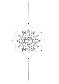 a drawing of a flower in black and white, with the center section drawn out