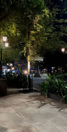 an empty parking lot at night with street lights and plants in the foreground on either side