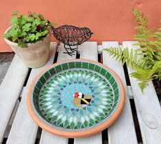 a plate sitting on top of a wooden table next to a planter and potted plants