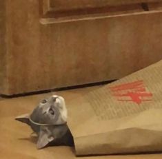 a small stuffed animal sitting inside of a brown paper bag on top of a counter