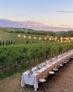 a long table is set up in the middle of a vineyard with lights strung over it