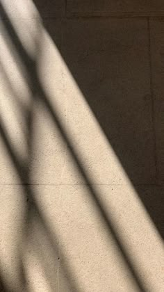 the shadow of a person holding a skateboard in their hand, on a concrete floor