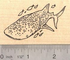 a rubber stamp with a fish on it's side and ruler in the foreground