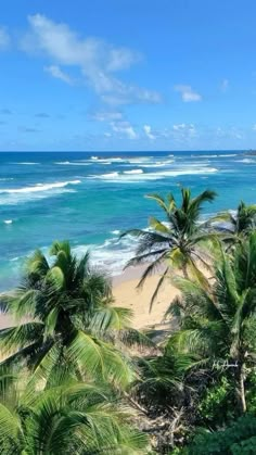 the beach is surrounded by palm trees and blue water