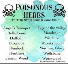 Poisonous Herbs, Tree Identification, Witch Stuff, Cheat Codes