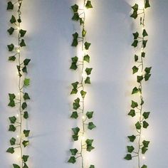 ivy vines are hanging on the wall with lights