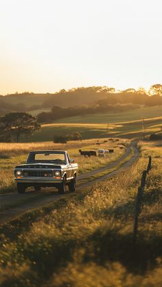 a truck driving down a country road with cattle in the background at sunset or dawn