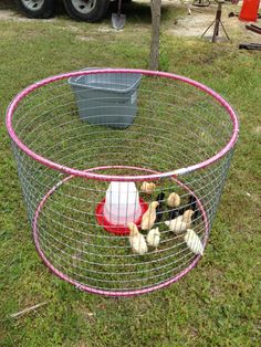 there are stuffed animals in the cage on the grass