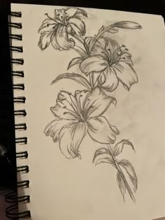 a pencil drawing of flowers on a piece of paper