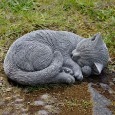 a cat that is laying down in the grass