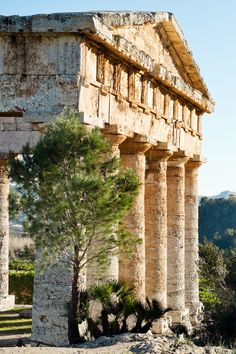 an ancient building with columns and trees in the foreground