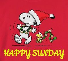 a snoopy christmas t - shirt that says happy sunday