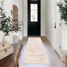 an entry way with a rug and potted plants