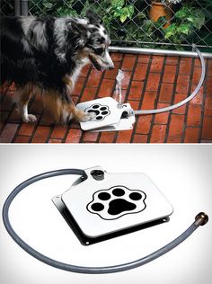 a dog is drinking water out of a hose attached to a device with paw prints on it