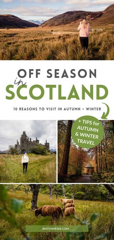 the cover of off season scotland, with images of sheep and trees in the background