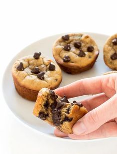 a hand holding a chocolate chip cookie in front of three other muffins on a white plate