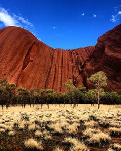 an image of the side of a mountain that looks like it is made out of red rock