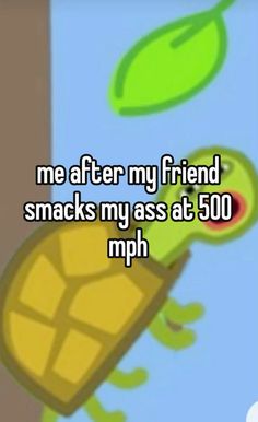 #real #relatable #funny #whisper #aesthetic #viralpost #viralpins #turtle #unhinged #real Whiplash