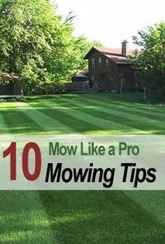 a lawn with the words 10 mowing tips on it and trees in the background