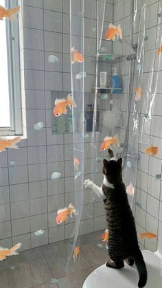 a cat standing on top of a toilet in a bathroom with goldfish floating around