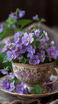 purple flowers in a tea cup on a saucer