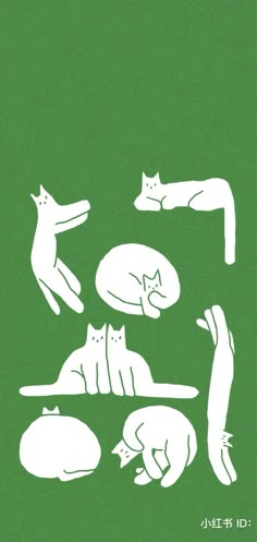 an image of cats doing yoga on the ground