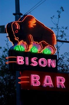 the neon sign for bison bar is lit up