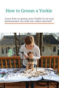 a woman is using a power drill to clean her dog's fur on a picnic table