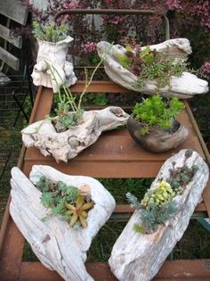 several different types of plants and rocks on a cart