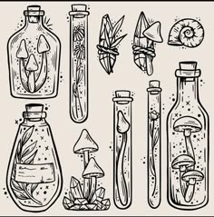 an image of bottles with mushrooms and other things in them on a white background illustration