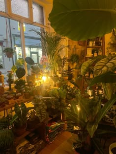 a room filled with lots of potted plants