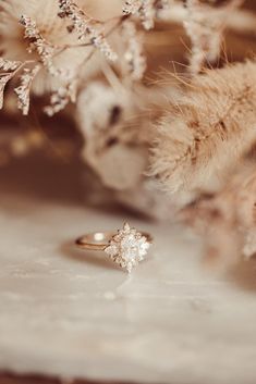 an engagement ring sitting on top of a table next to dried flowers