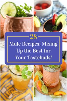 Collage of 4 mule recipes. Mule Drink, Mule Recipe, Party Punch, Thirsty Thursday, Fruit Infused, Refreshing Cocktails, Moscow Mule