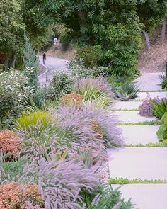 a garden with lots of different plants and flowers on it's side walk way