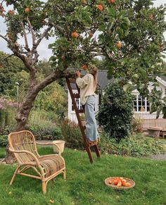 a man on a ladder reaching up to pick apples from an apple tree in the yard