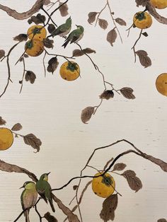 birds sitting on branches with oranges and leaves in the background as if they were painting