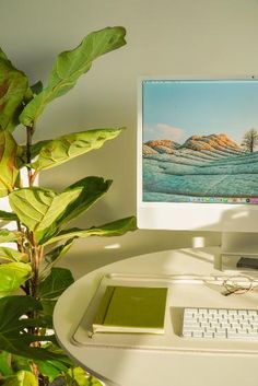 a computer monitor sitting on top of a desk next to a keyboard and mouse in front of a potted plant