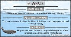 an animal that is in the water with words above it and below it are some information about whale