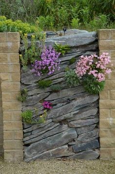 a stone wall with flowers growing out of it