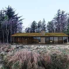 the house is surrounded by tall grass and trees