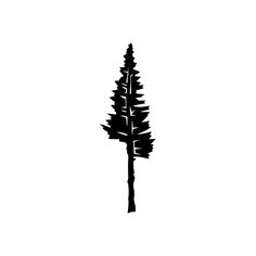 a black and white photo of a tall pine tree with no leaves on the top