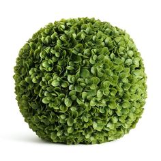 a green ball shaped plant sitting on top of a white surface