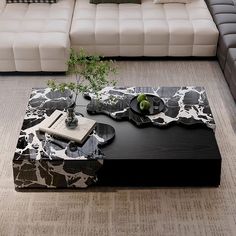 a living room with a couch, coffee table and plant in it's center