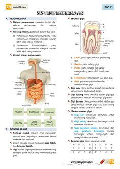 an image of the human body and organs