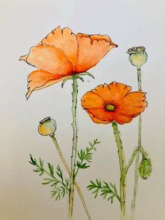 two orange flowers with green stems on a white paper background, one is watercolor and the other is pen and ink